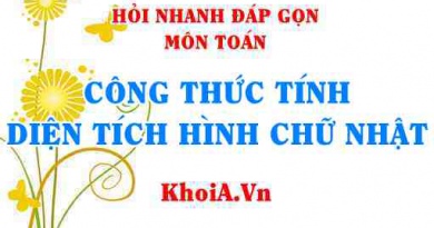 Công thức tính diện tích hình chữ nhật như thế nào? Hỏi nhanh đáp gọn môn Toán
